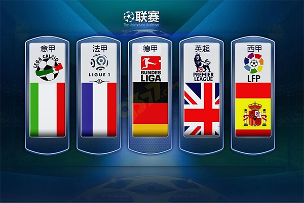 灰熊近年来