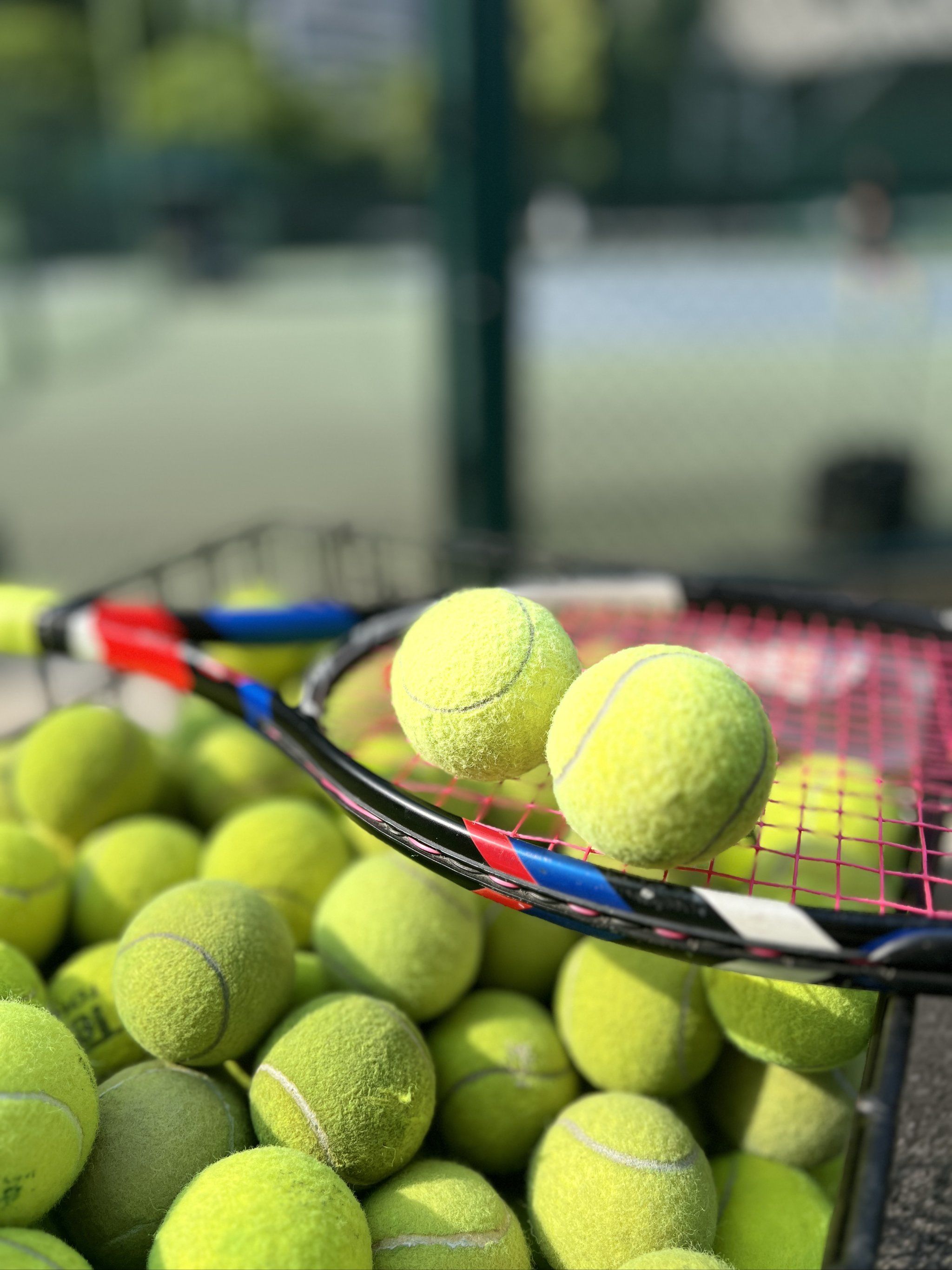 以发现的细 以发现的细