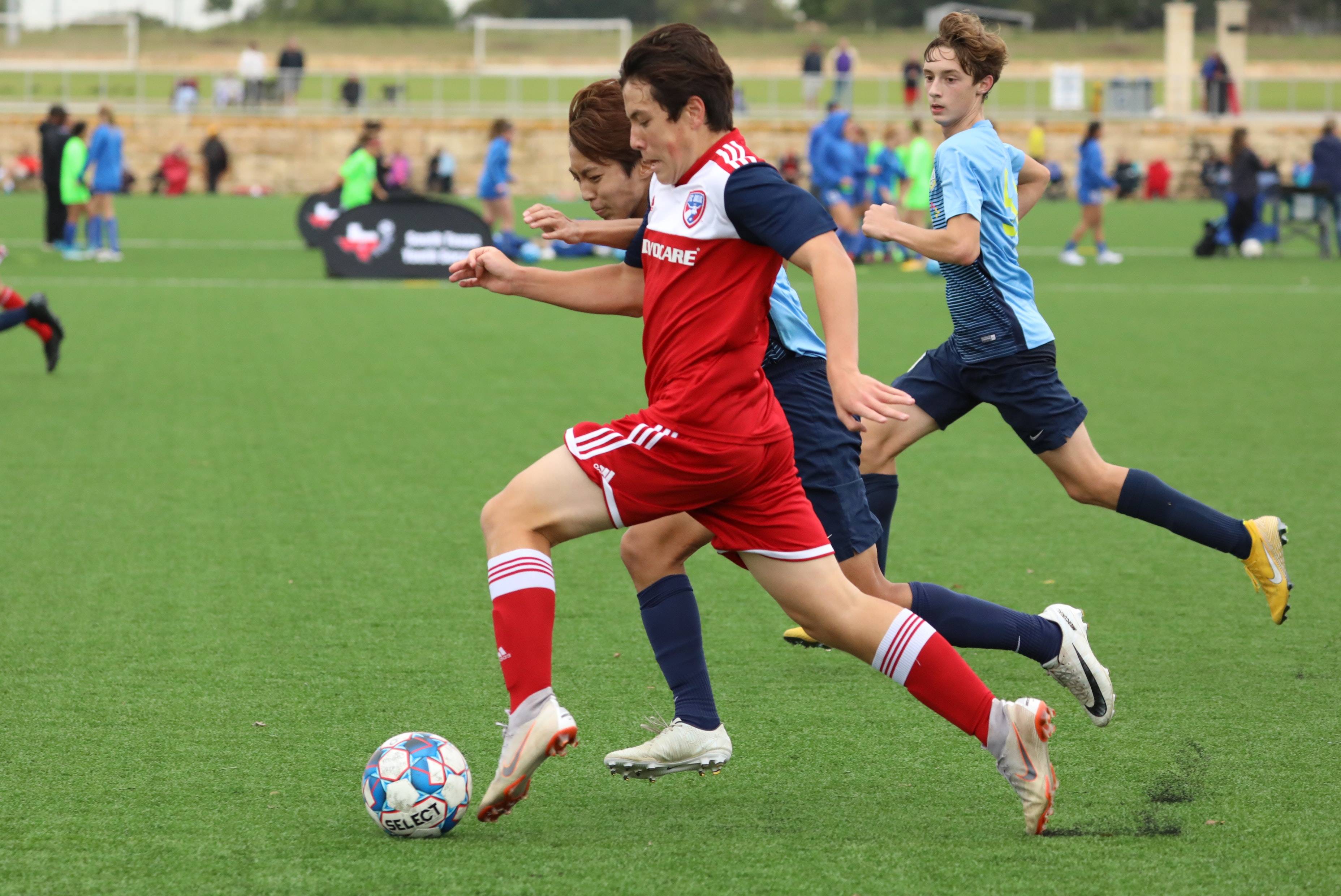 将专业度转 将专业度转