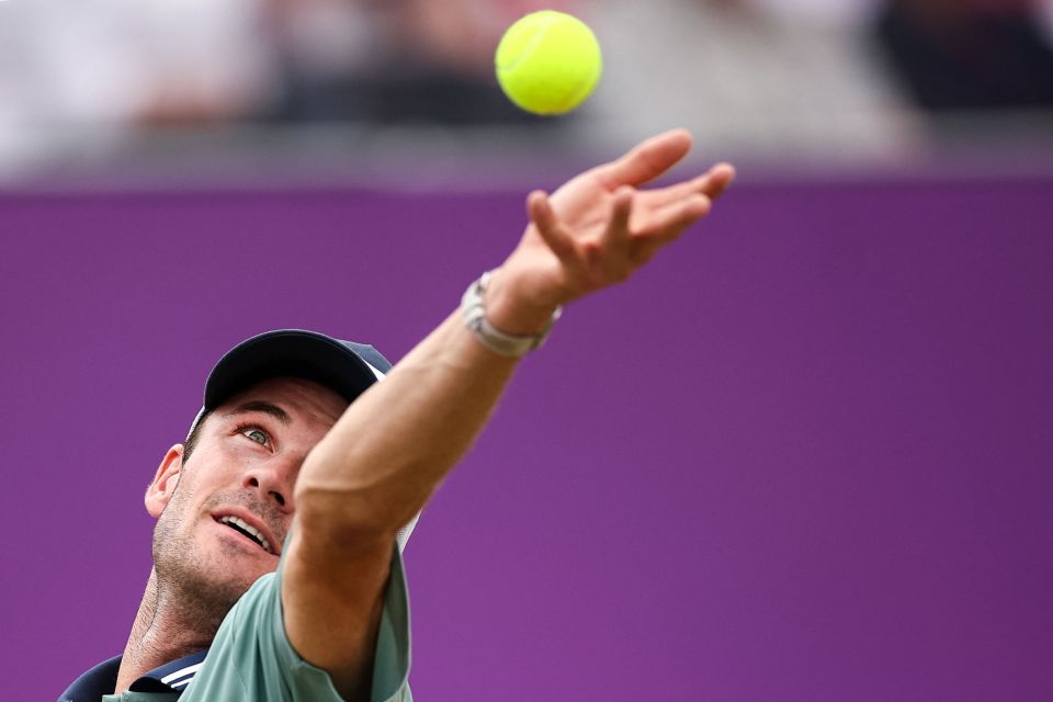 案例分析值 案例分析值