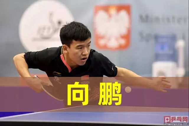 竞猜和讨论 竞猜和讨论